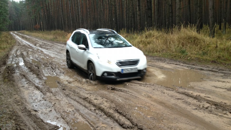 2008 "allein" im Wald